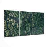 Forest Glass Wall Art.